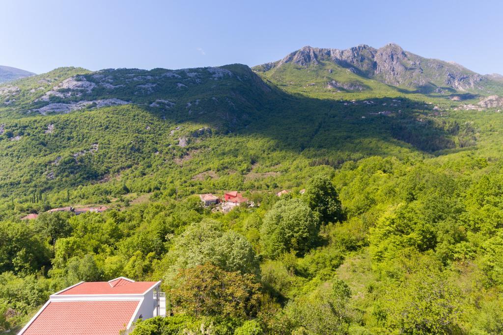 Whitehouse Villa Virpazar Εξωτερικό φωτογραφία